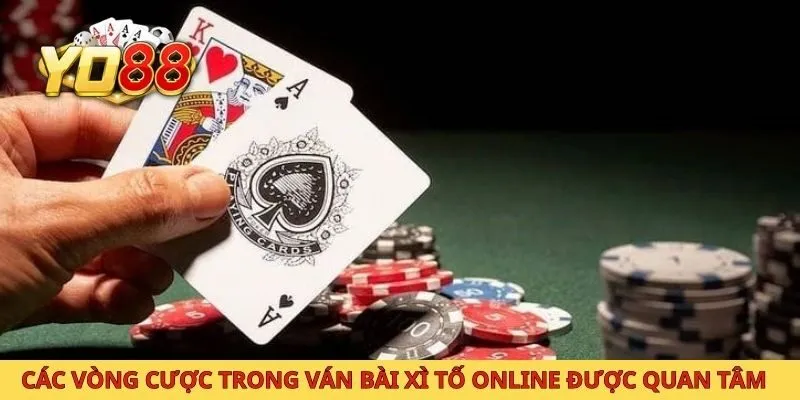 Các vòng cược trong ván bài xì tố online được quan tâm 